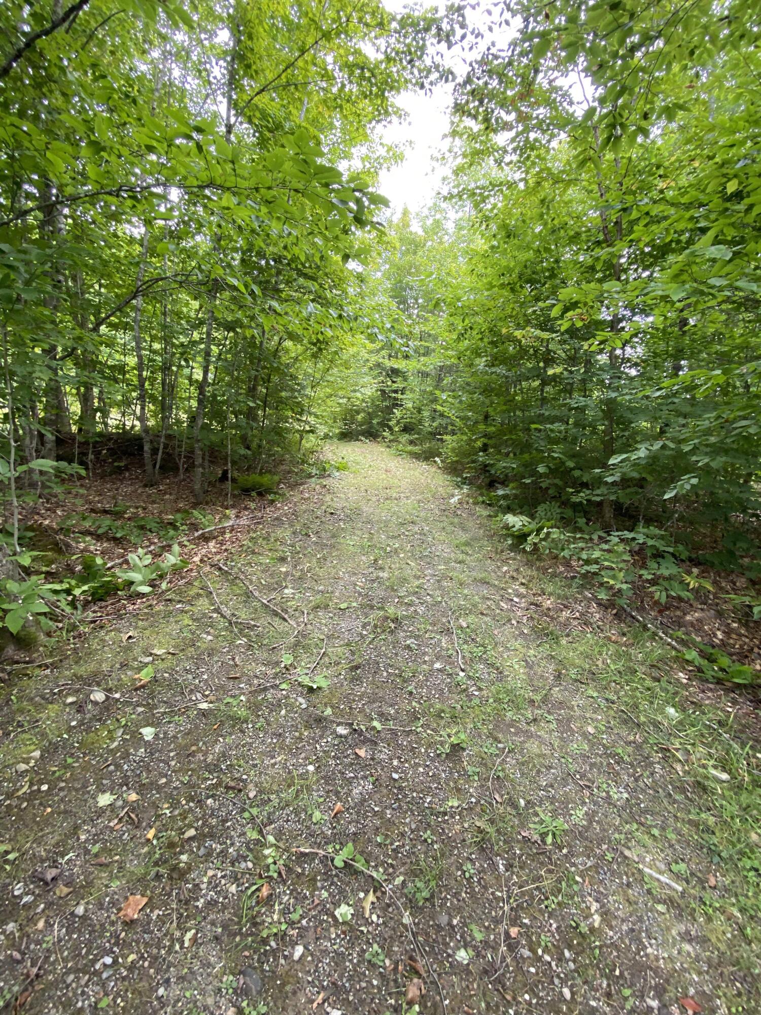 Lot 43 Fire Road Linneus, ME 04730 - Photo 23 of 33 372394485_838532194258668_42284873830380