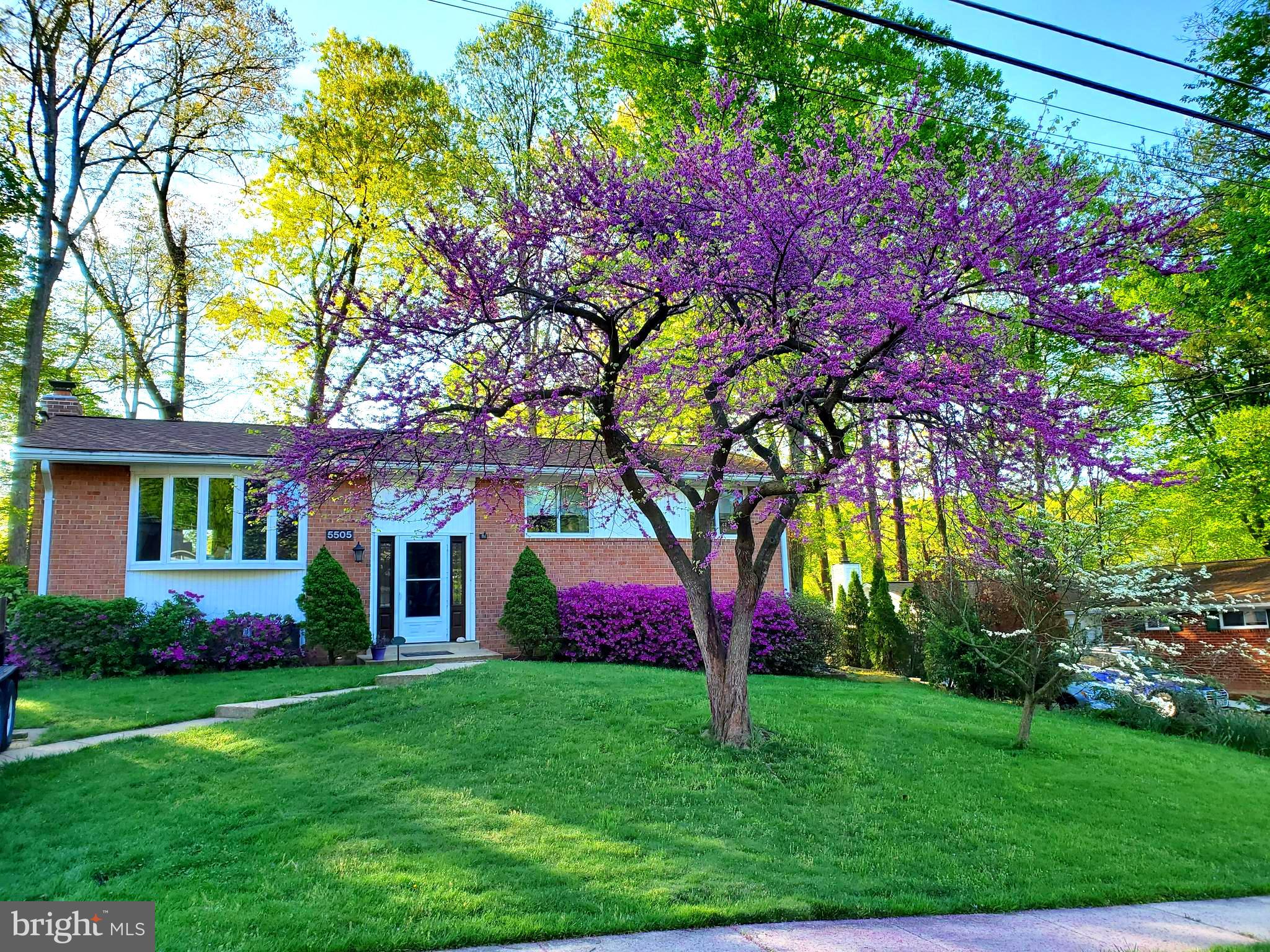 5505 Eastbourne Drive Springfield, VA 22151 - Photo 1 of 64