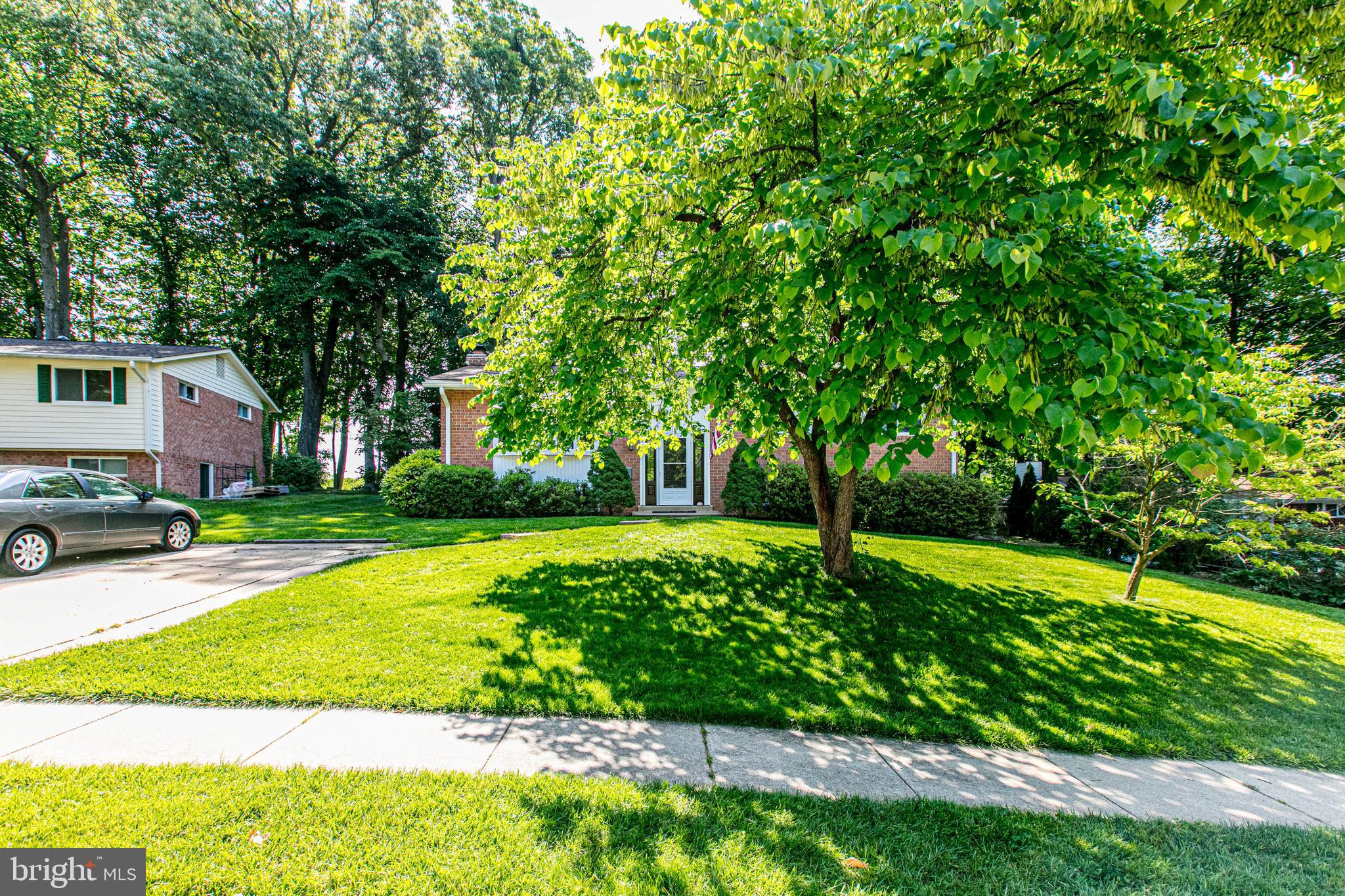 5505 Eastbourne Drive Springfield, VA 22151 - Photo 59 of 64