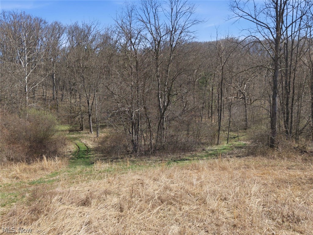 805 Daugherty Road Stockport, OH 43787 - Photo 24 of 28 Gallery Image 24