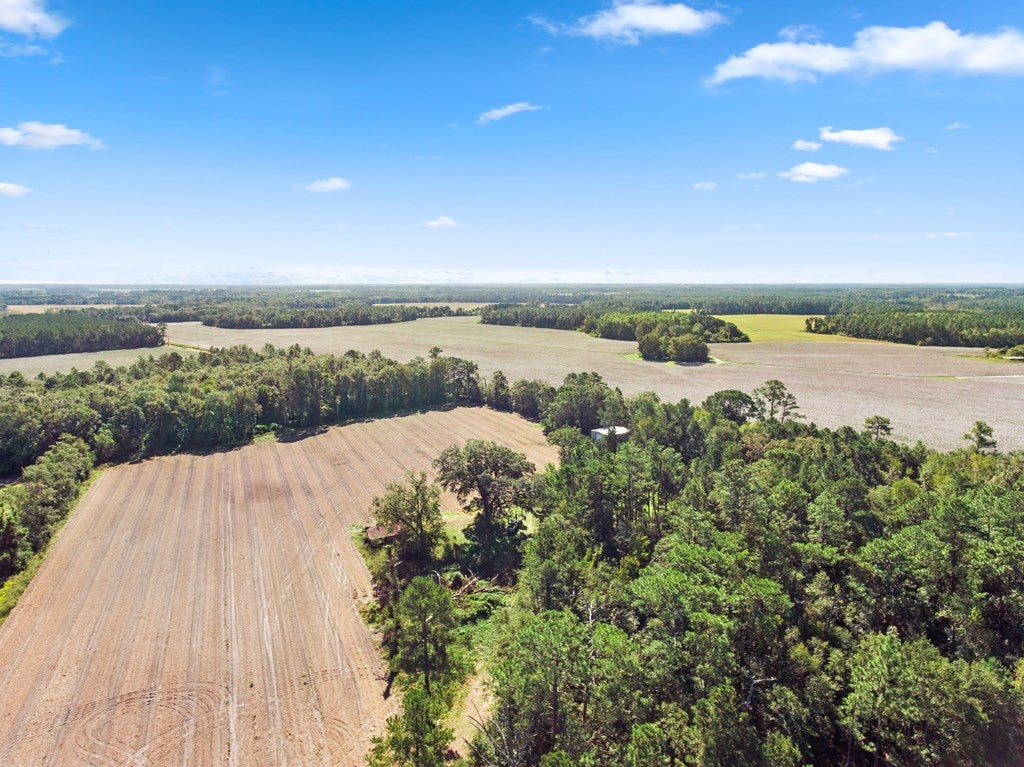 0 Rolling Hills Road Morven, GA 31638 - Photo 18 of 22 Gallery Image 18