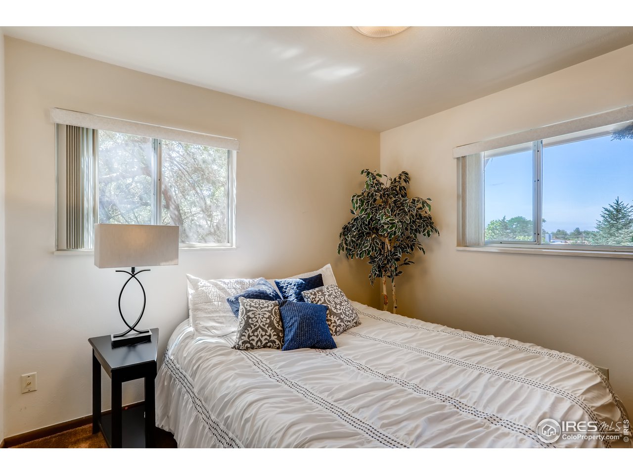 8926 Morton Road Niwot, CO 80503 - Photo 19 of 39 Gallery Image 19