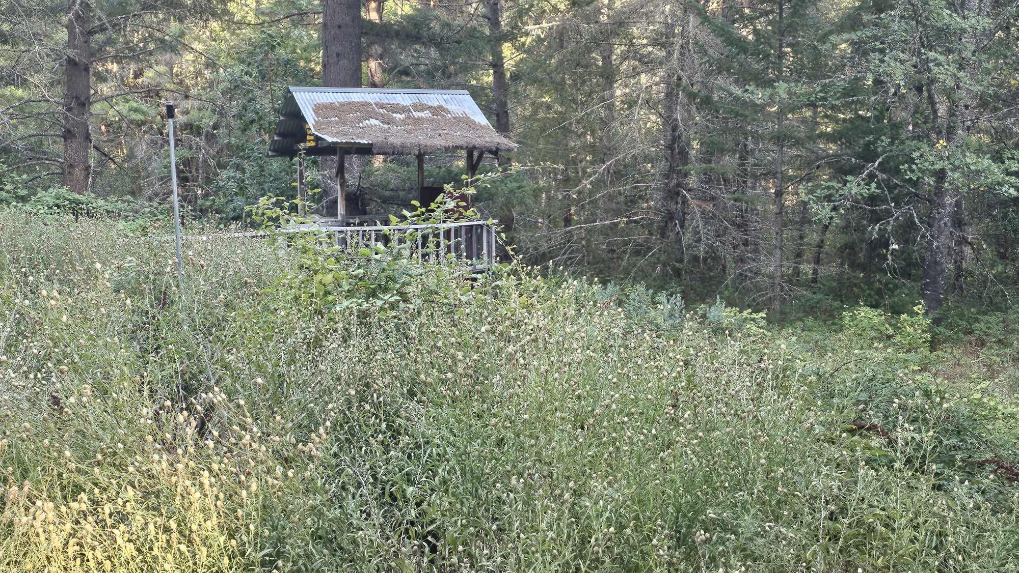 5910 Deer Creek Road Selma, OR 97538 - Photo 9 of 12 5910 7