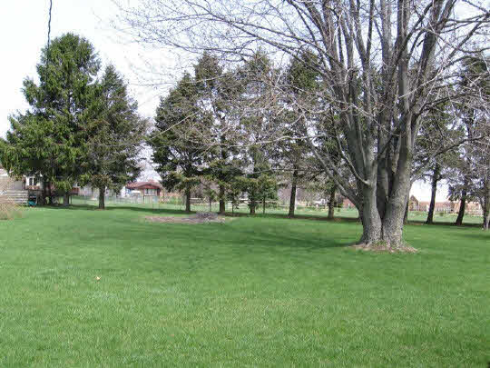 6891 Tipple Road Rockford, IL 61102 - Photo 5 of 6 a view of a trees in front of a big yard with large trees