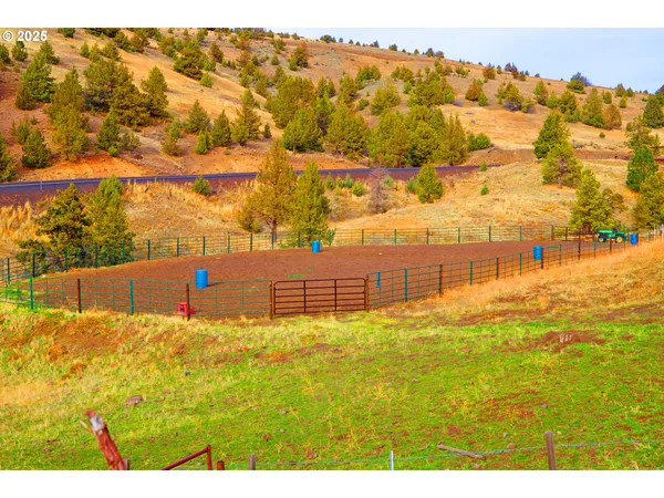 a view of a park with large trees
