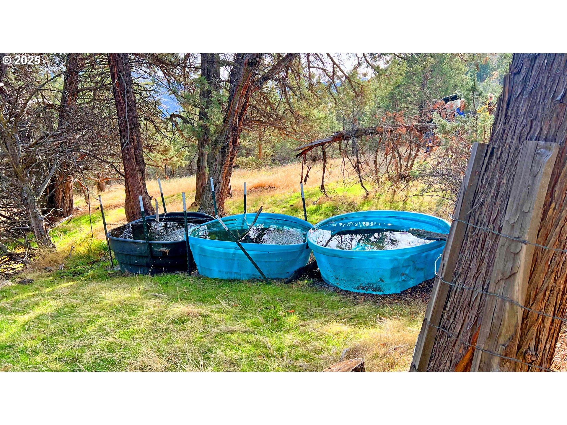 46457 Highway 218 Fossil, OR 97830 - Photo 41 of 45 a different pictures of a house