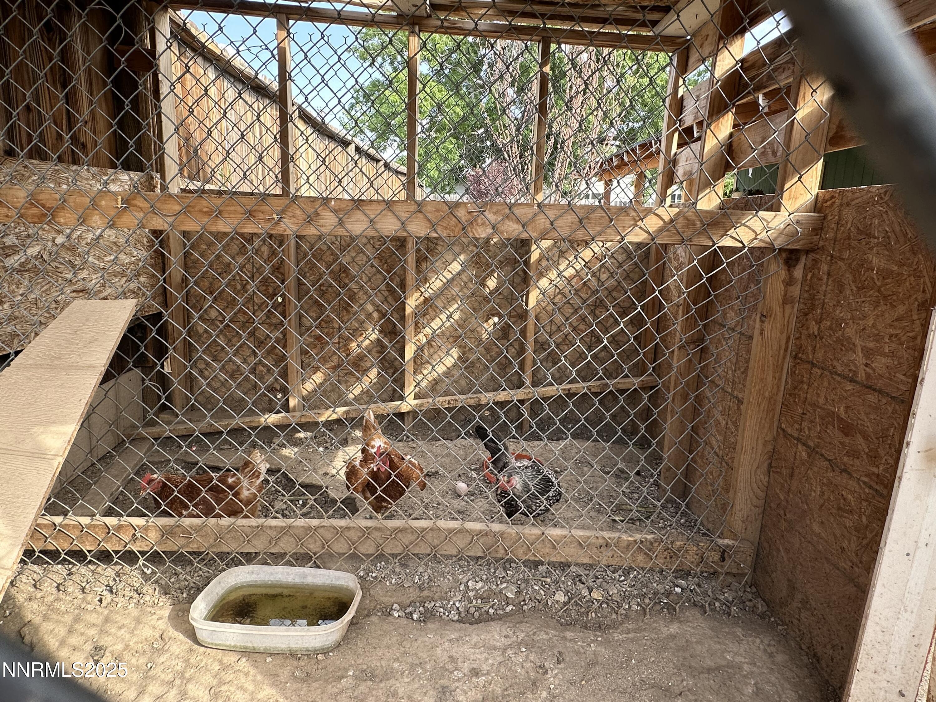 13630 Mt Whitney Street Reno, NV 89506 - Photo 21 of 28 IMG_2610