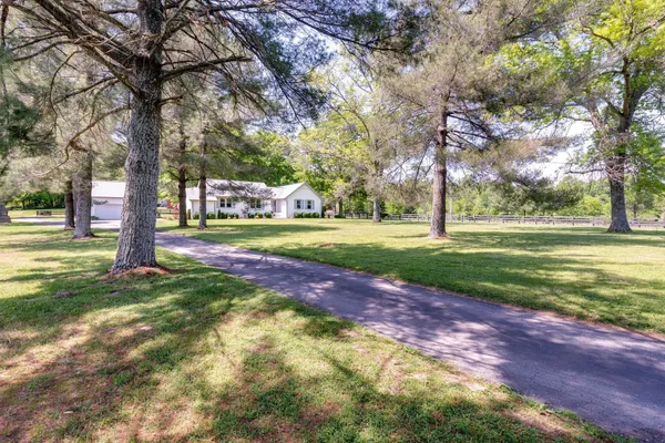 a view of a park with large trees