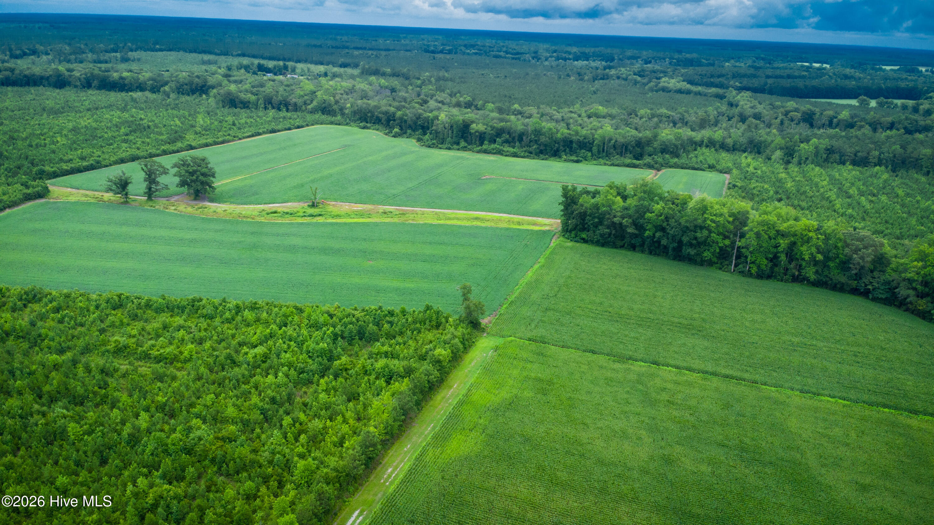 1601 Hill Neck Road Ernul, NC 28527 - Photo 23 of 33 Over 230 Acres of Opportunity