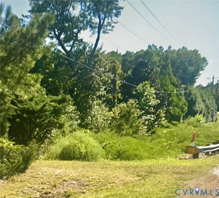 0 Buckley Hall Road Cobbs Creek, VA 23035 - Photo 3 of 4