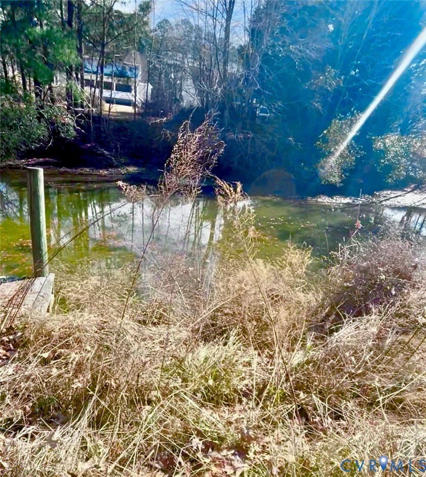 0 Buckley Hall Road Cobbs Creek, VA 23035 - Photo 4 of 4