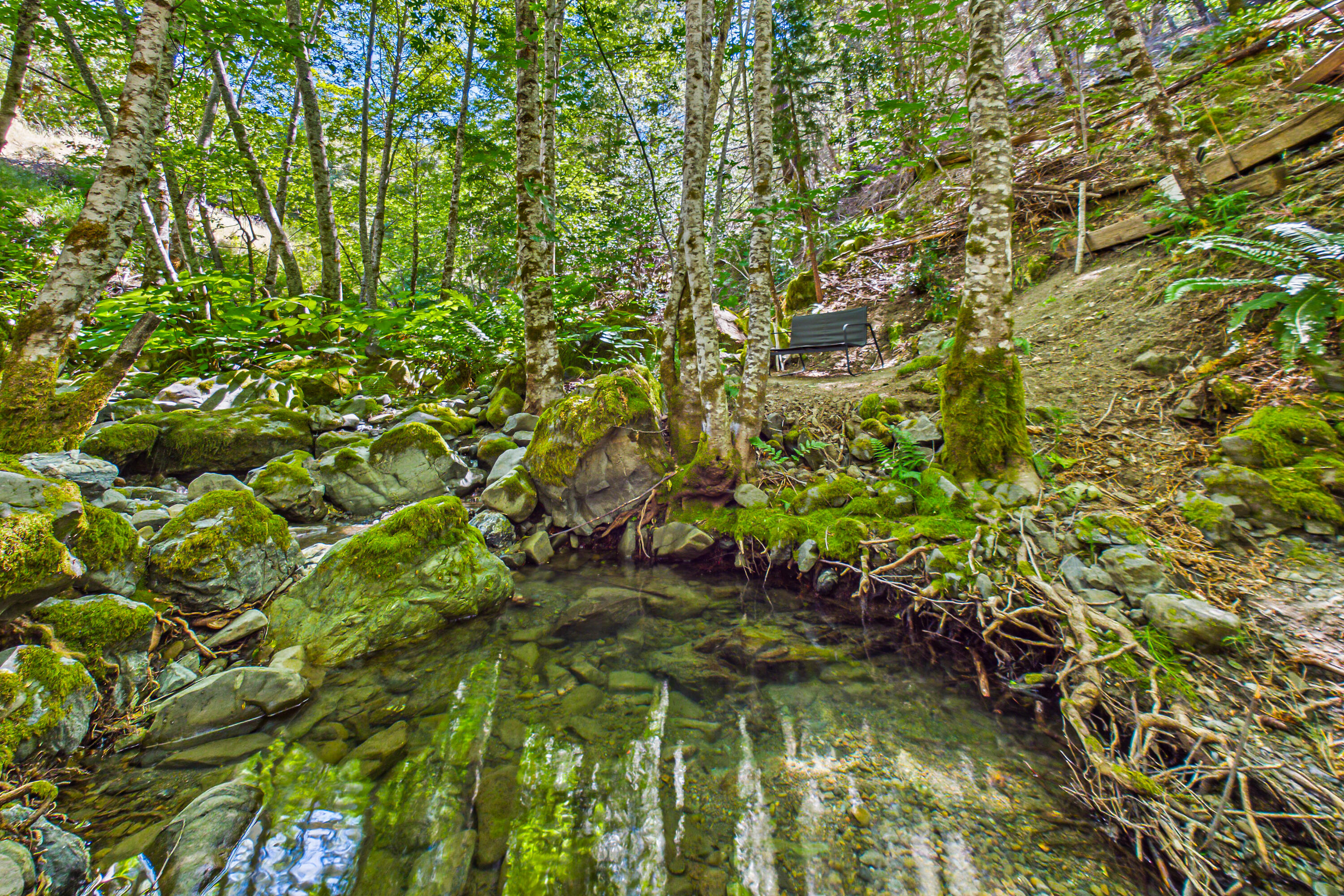60890 Bell Springs Road Laytonville, CA 95454 - Photo 54 of 77 a view of a garden