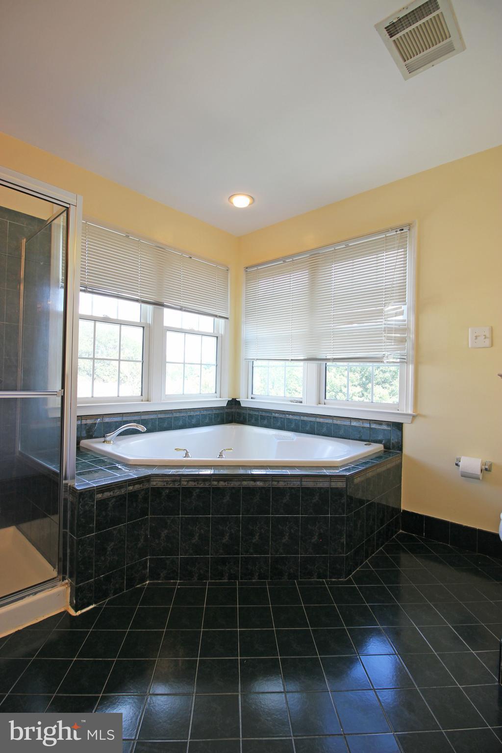 11799 Valley Ridge Circle Fairfax, VA 22033 - Photo 37 of 43 a bathroom with a sink a toilet and next to a window