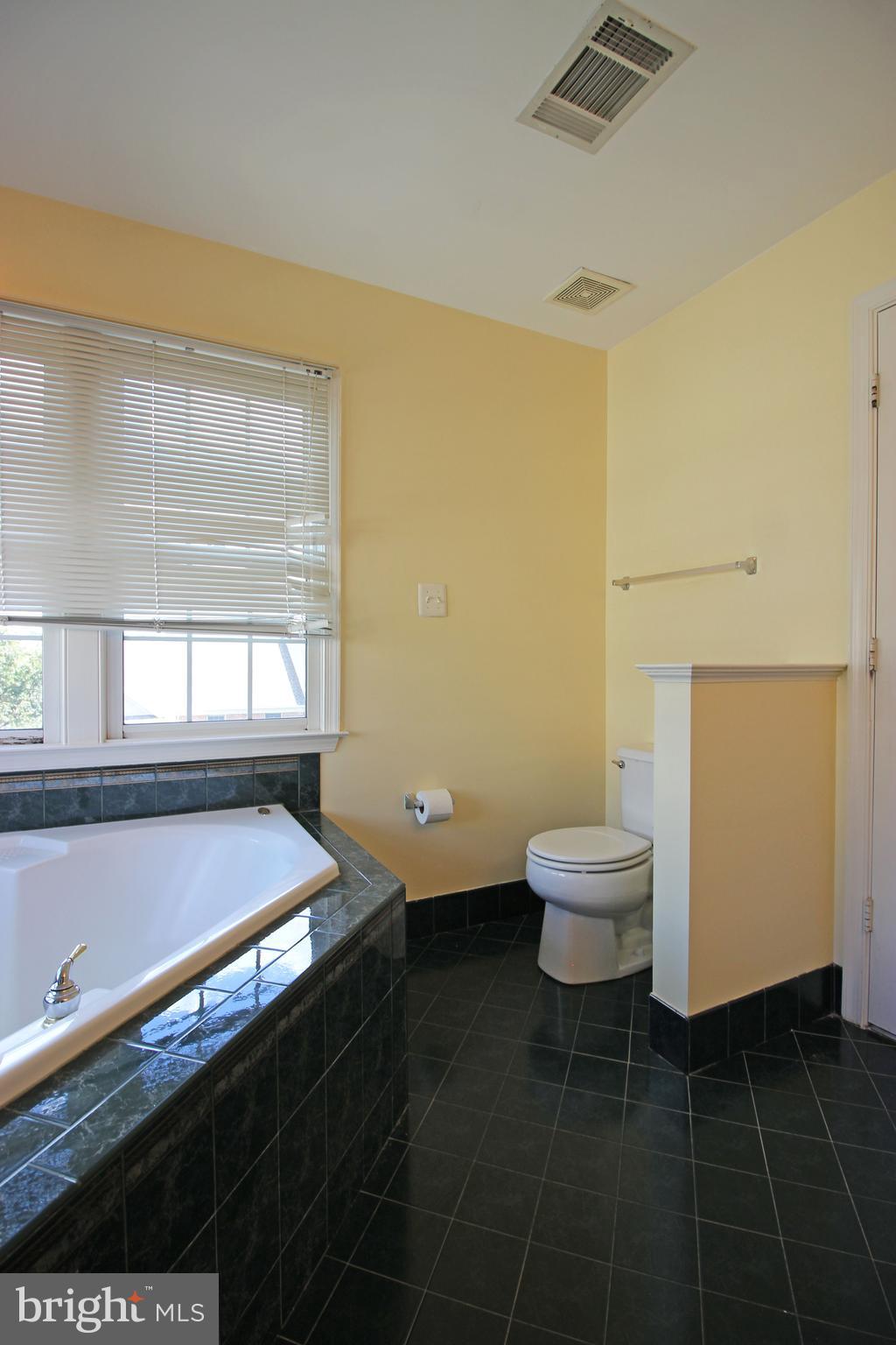 11799 Valley Ridge Circle Fairfax, VA 22033 - Photo 38 of 43 a bathroom with a granite countertop sink and a large mirror