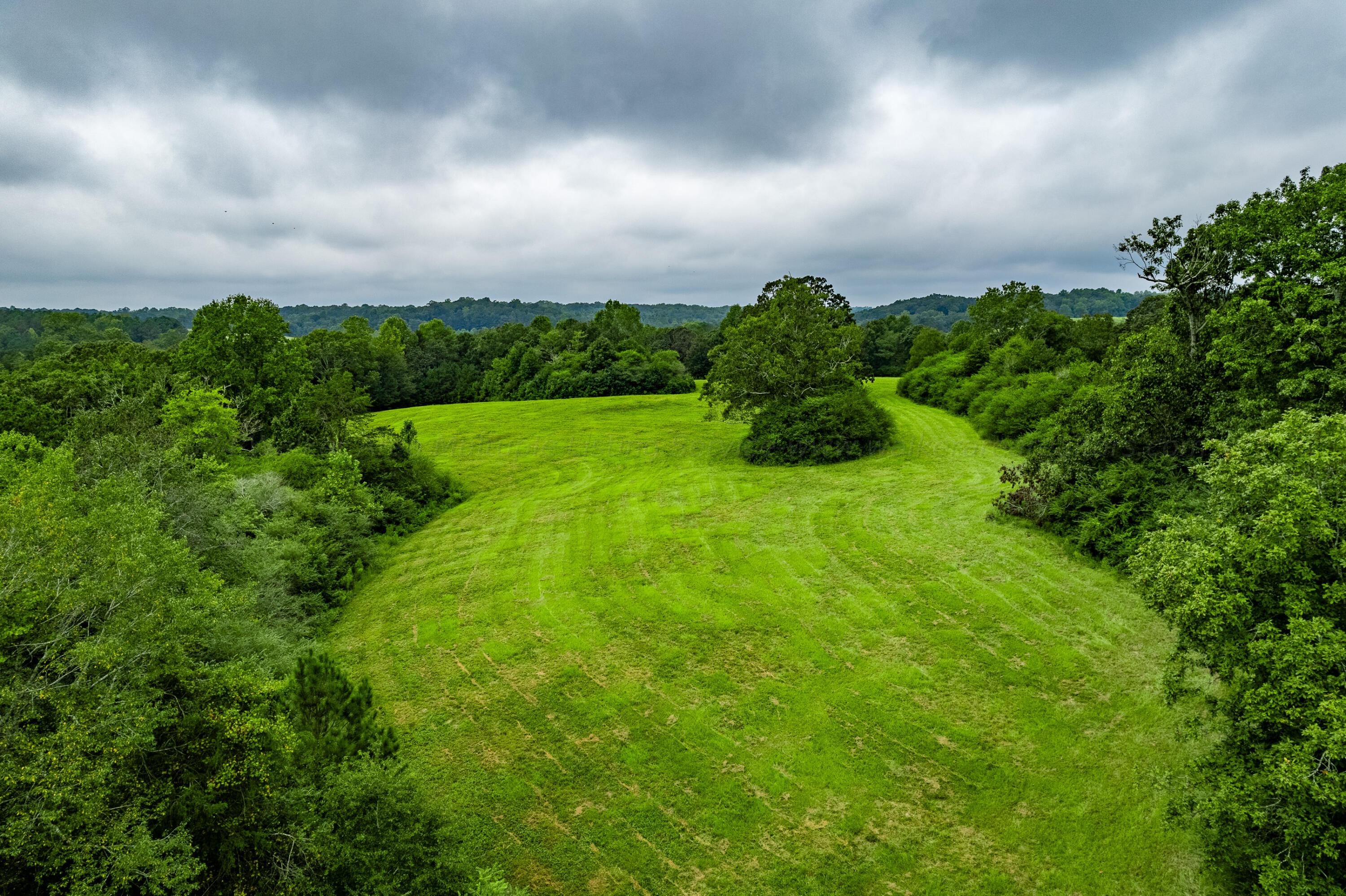 52 County Road Arley, AL 35541 - Photo 12 of 13 Gallery Image 12