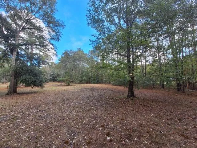 $1,500,000 | 0 Ashley River Road, Summerville, SC 29485