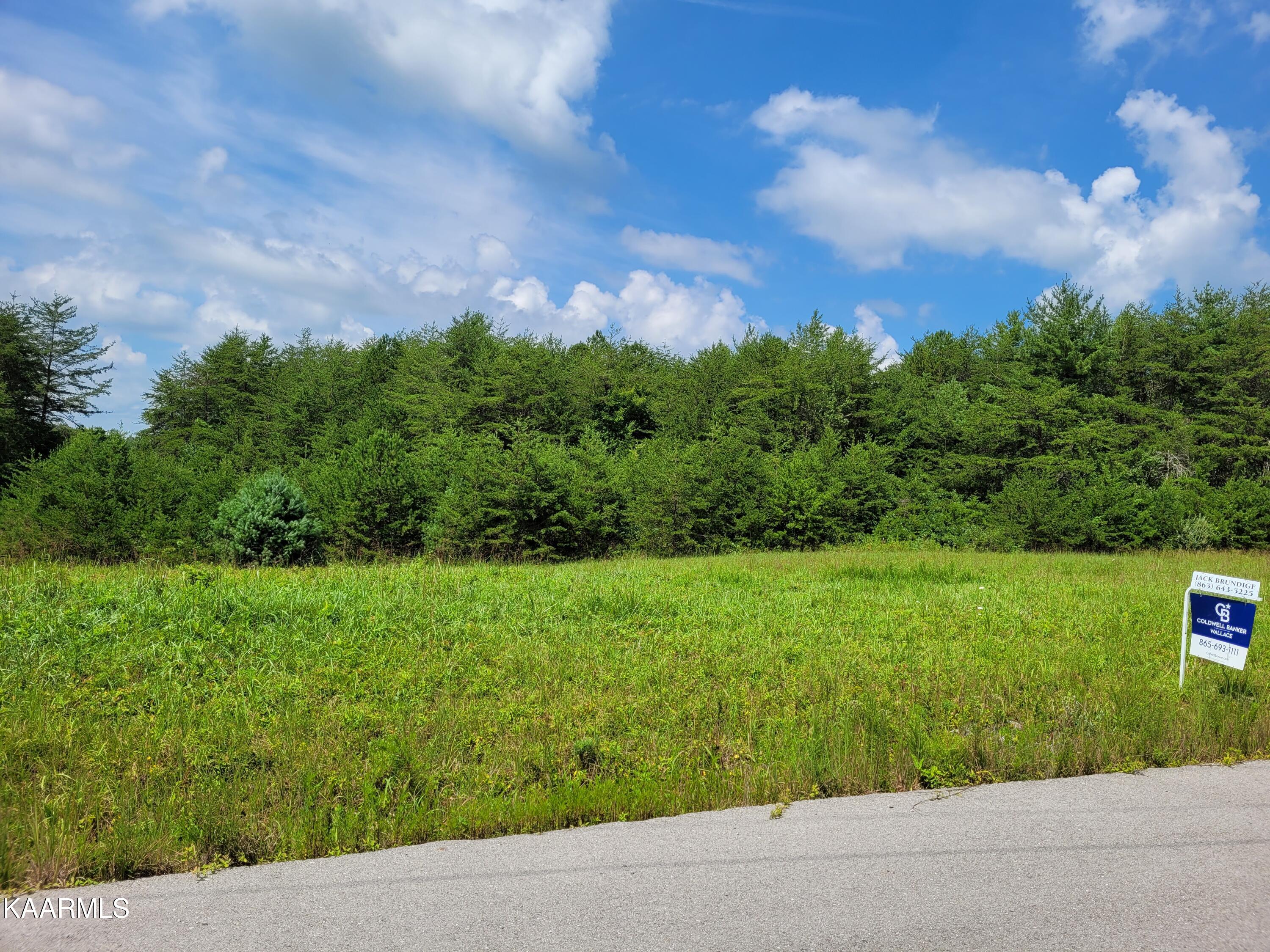 White Creek Deer Lodge, TN 37726 - Photo 2 of 8 WCA7 - Lot 7