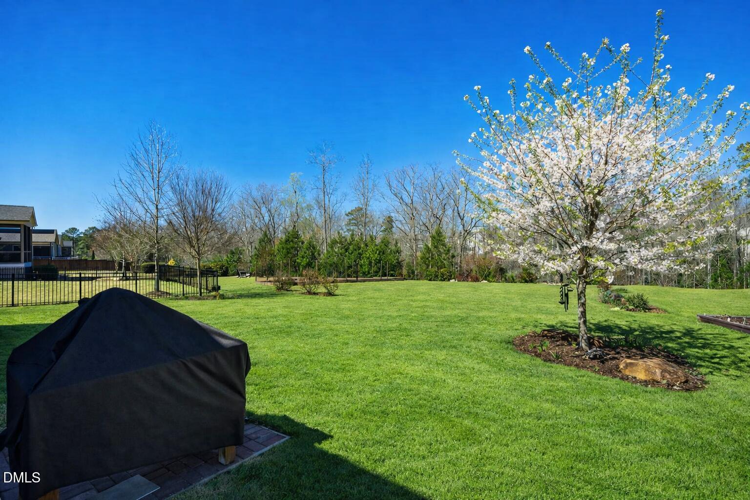 232 Logbridge Road Chapel Hill, NC 27516 - Photo 38 of 85 Backyard Views