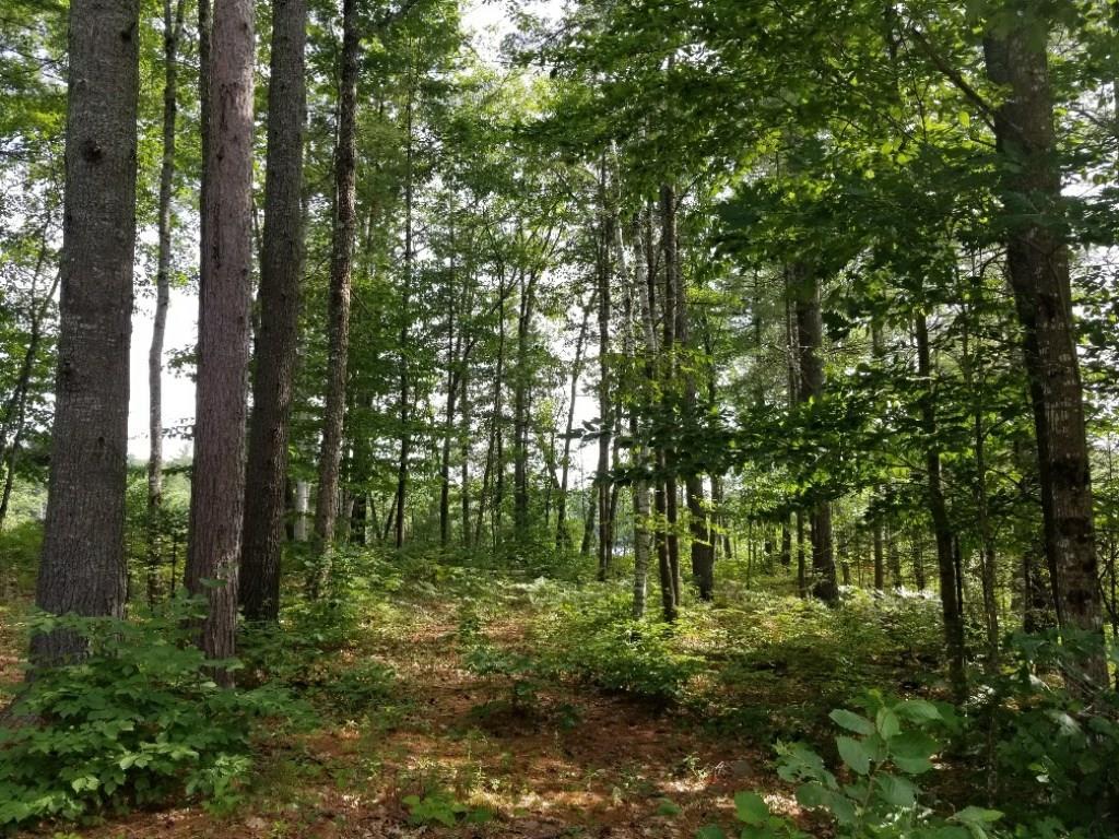 M8-l87 Chesterville Ridge Road Kents Hill, ME 04349 - Photo 12 of 14 Photo