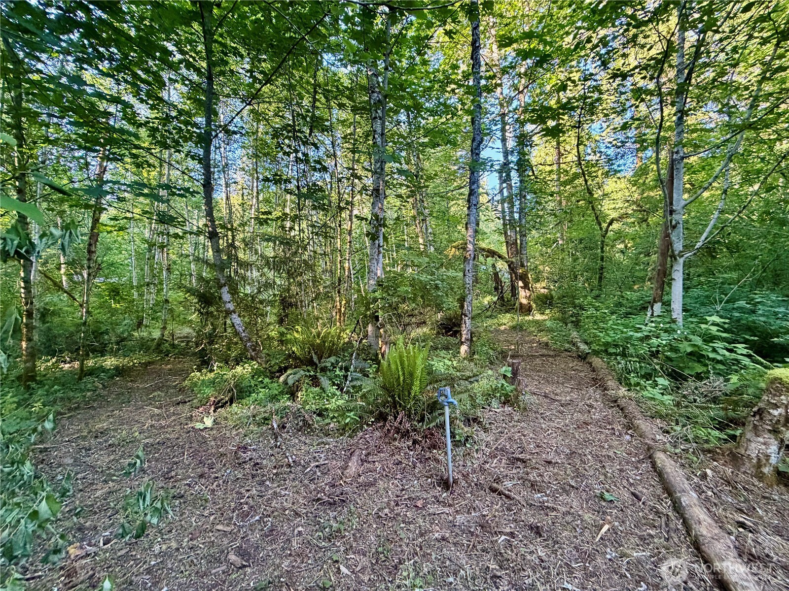7546 Colleen Court Deming, WA 98244 - Photo 20 of 27