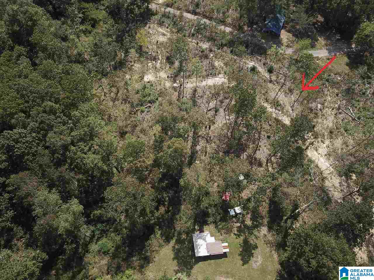 366 Tingle Road Double Springs, AL 35553 - Photo 39 of 39