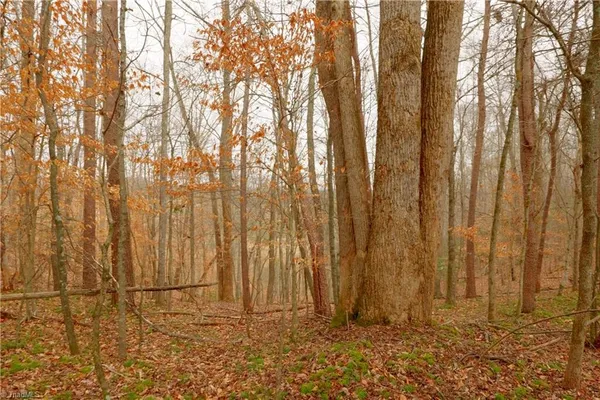 $109,900 | 3362 Highway 66 South, Westfield, NC 27053