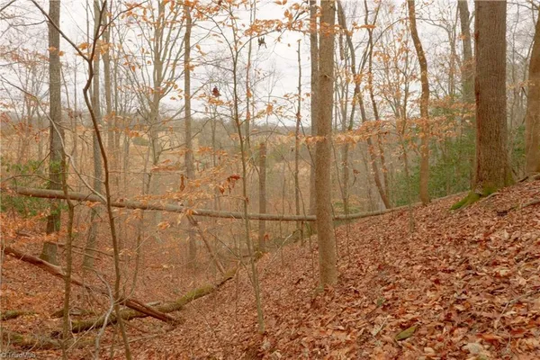 $109,900 | 3362 Highway 66 South, Westfield, NC 27053