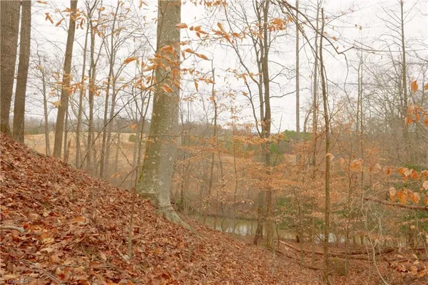 $109,900 | 3362 Highway 66 South, Westfield, NC 27053