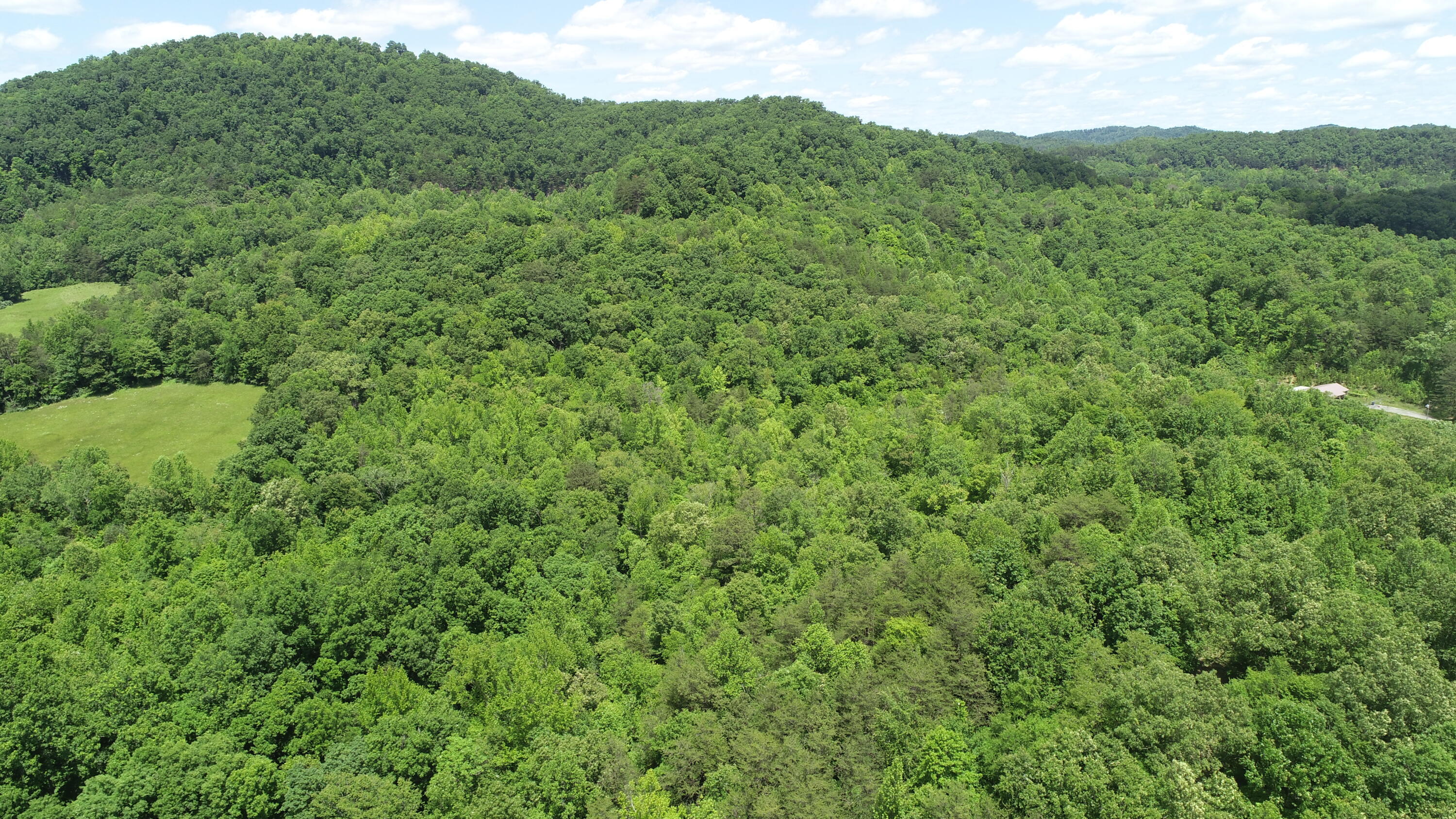 0 Sutton Mill Road Williamsburg, KY 40769 - Photo 7 of 23 DJI_0645