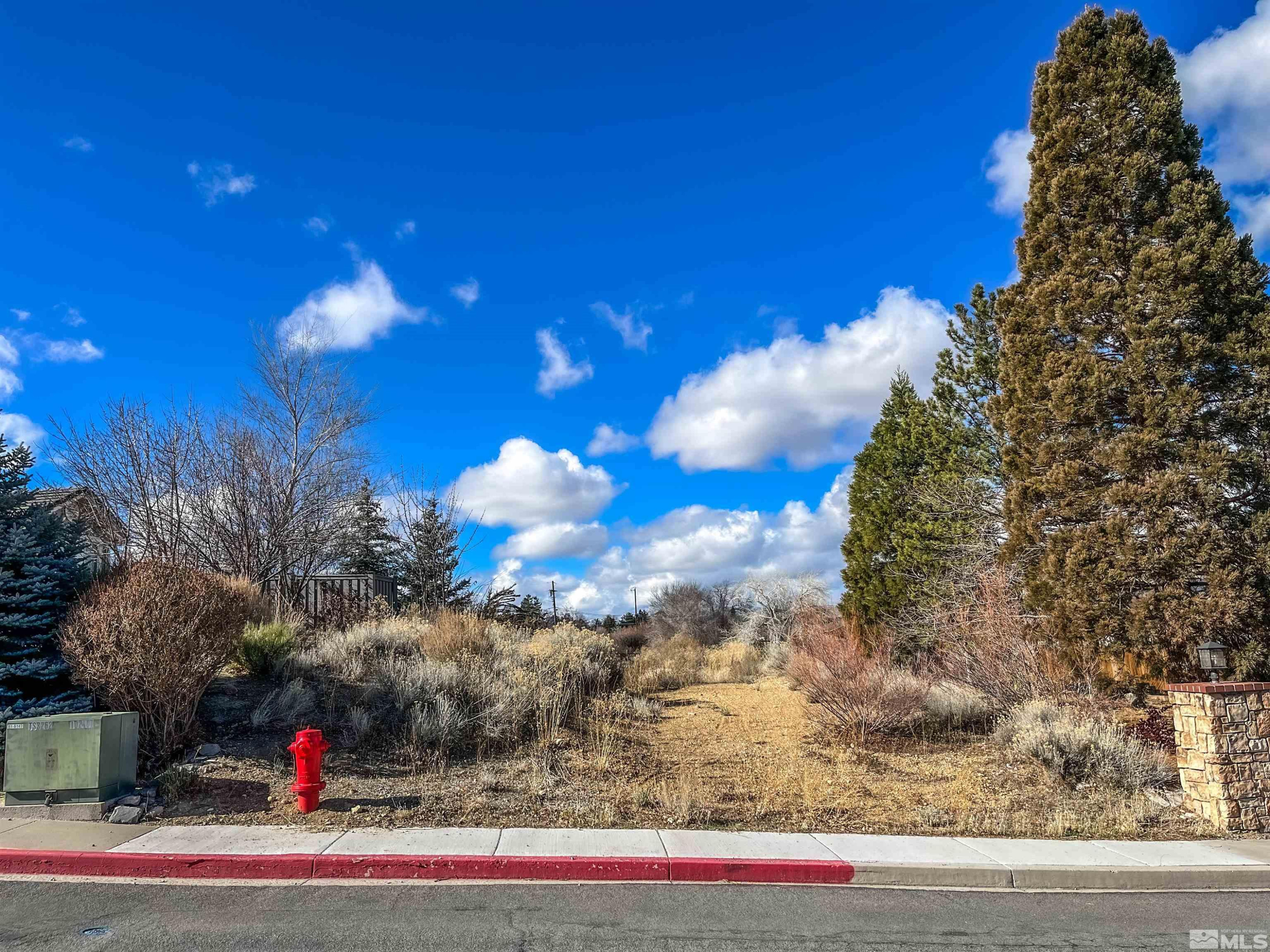 0 Marthiam Avenue Reno, NV 89509 - Photo 2 of 9 Photo 2