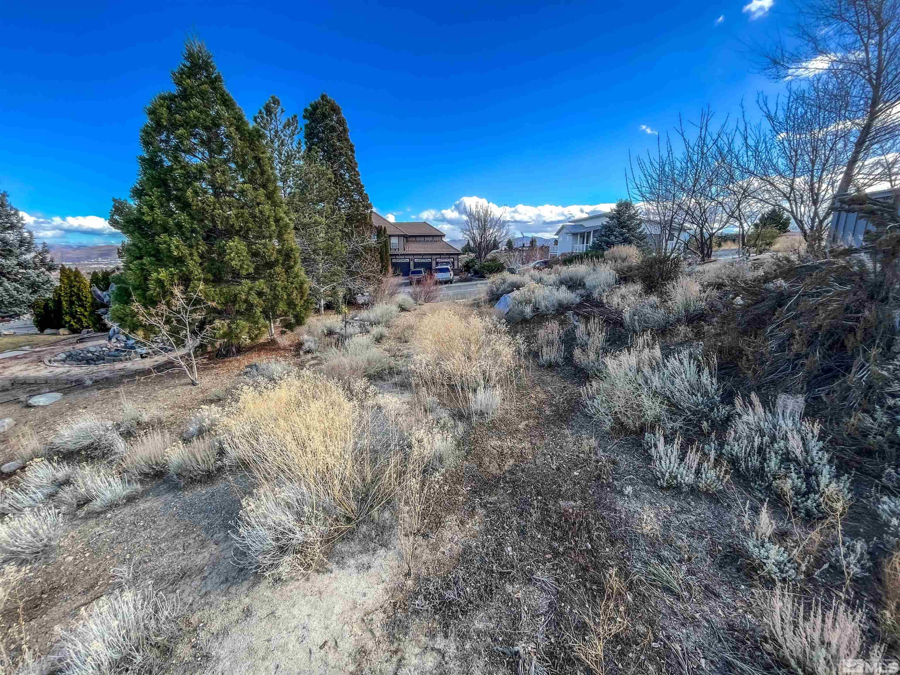 0 Marthiam Avenue Reno, NV 89509 - Photo 3 of 9 Photo 3