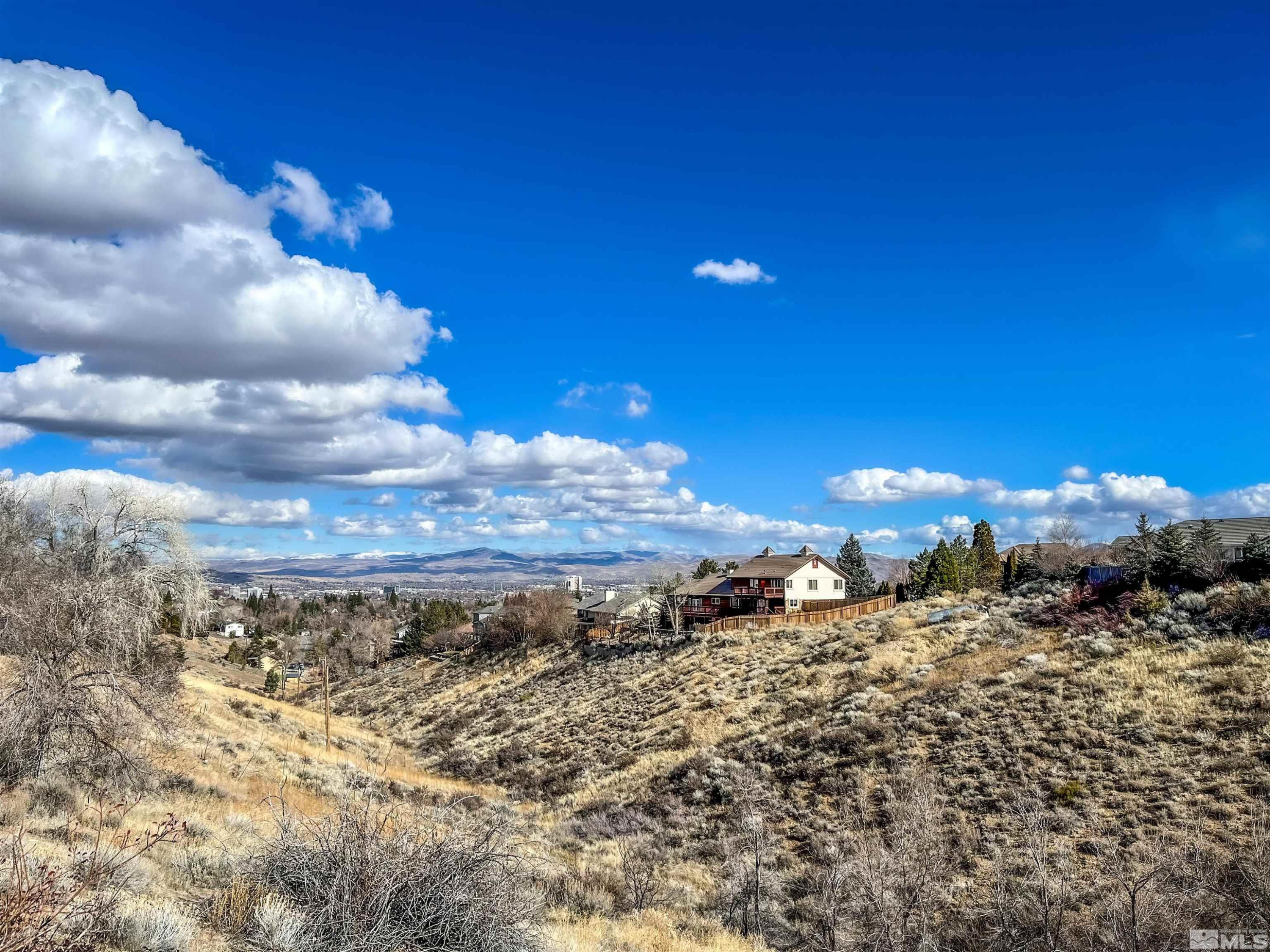 0 Marthiam Avenue Reno, NV 89509 - Photo 8 of 9 Photo 8