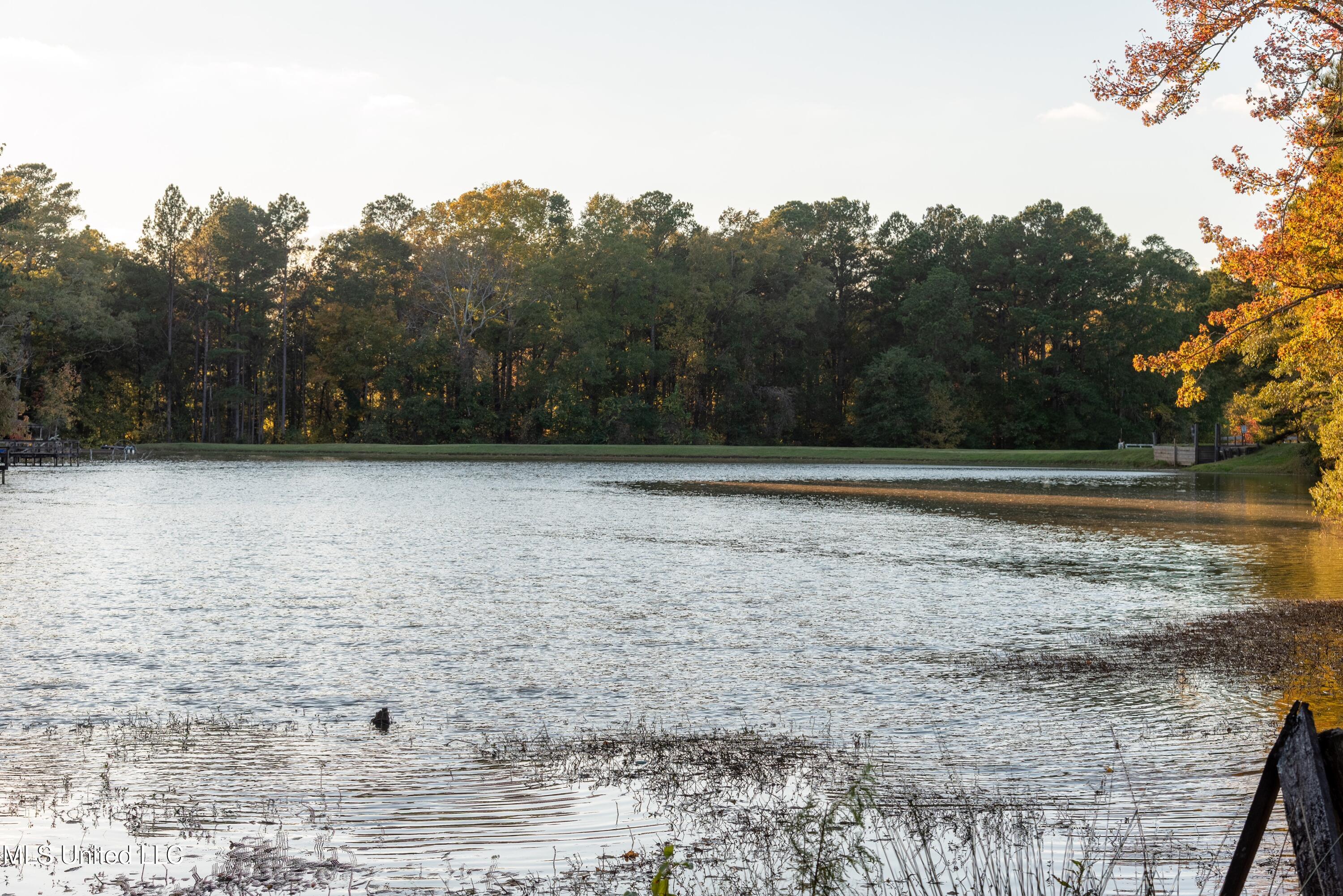 105 Country Club Road Florence, MS 39073 - Photo 10 of 46 105CountryClubRd-19