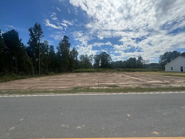 271 Zion Road Galivants Ferry, SC 29544 - Photo 11 of 12 Gallery Image 11
