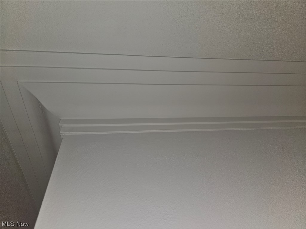 3700 Jaeger Road Lorain, OH 44053 - Photo 19 of 50 View of interior details