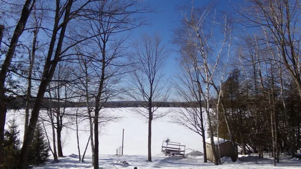 $521,900 | 17817 Nicolet Road, Townsend, WI 54175