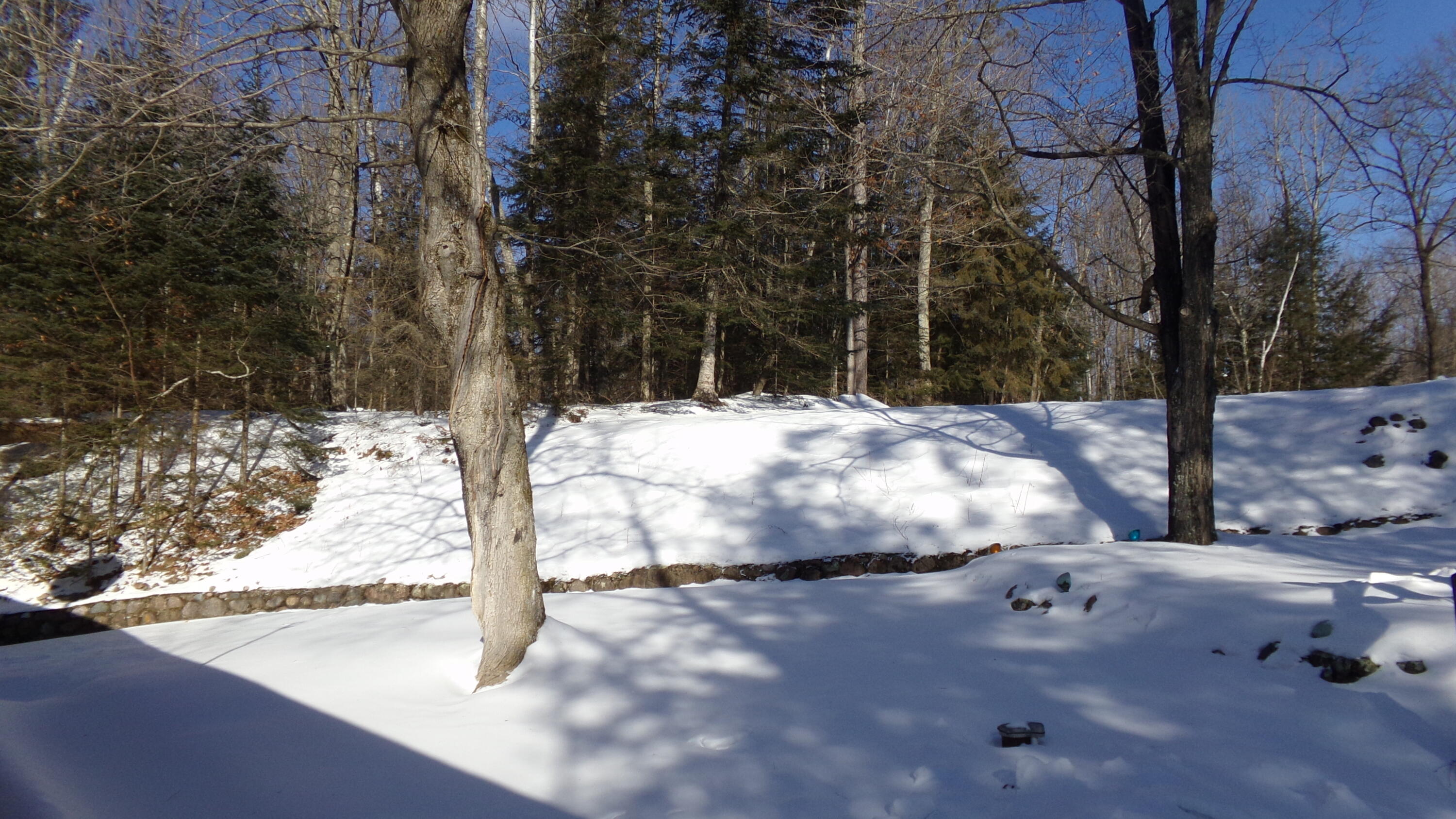 17817 Nicolet Road Townsend, WI 54175 - Photo 35 of 37 100_1320