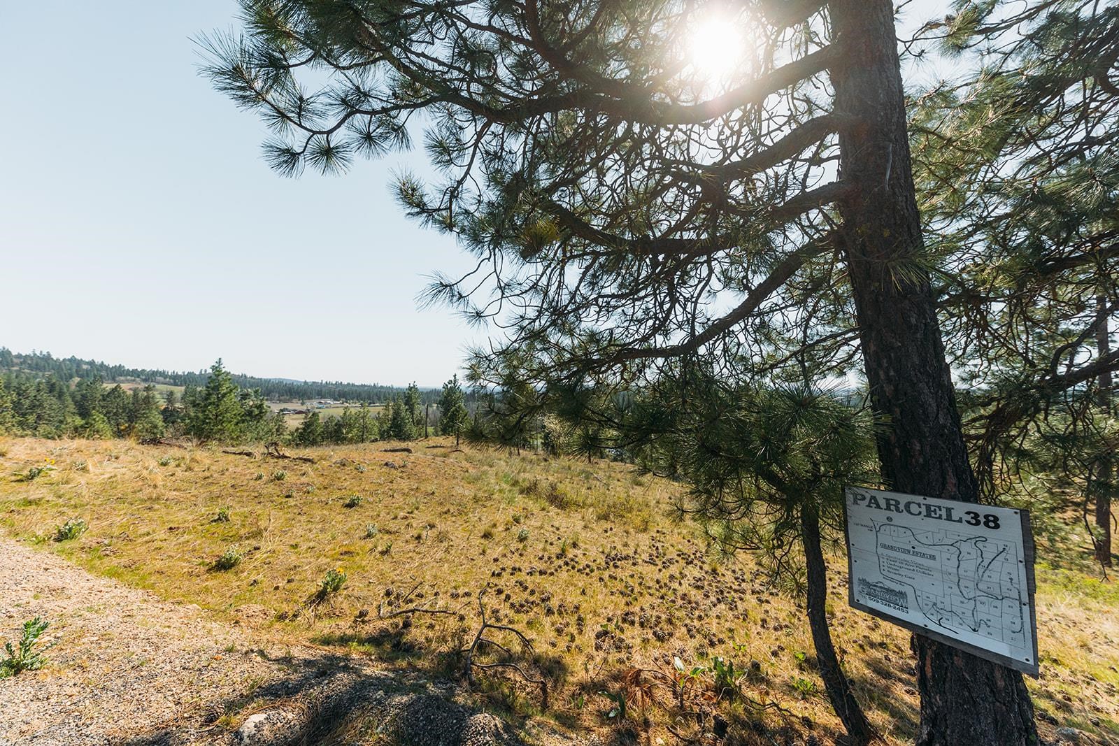 Lot 38 East Matthew Road Chattaroy, WA 99003 - Photo 1 of 5