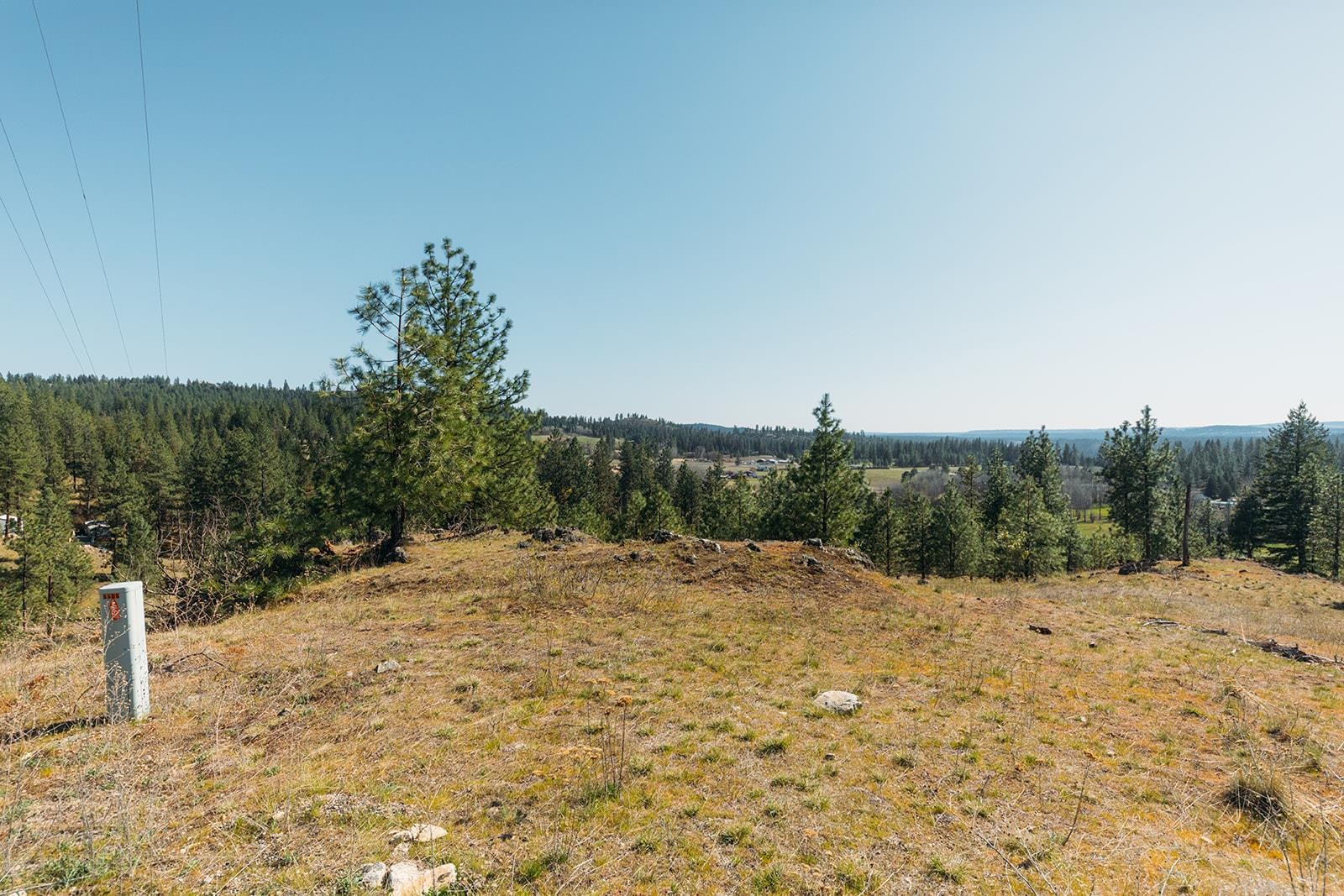 Lot 38 East Matthew Road Chattaroy, WA 99003 - Photo 3 of 5
