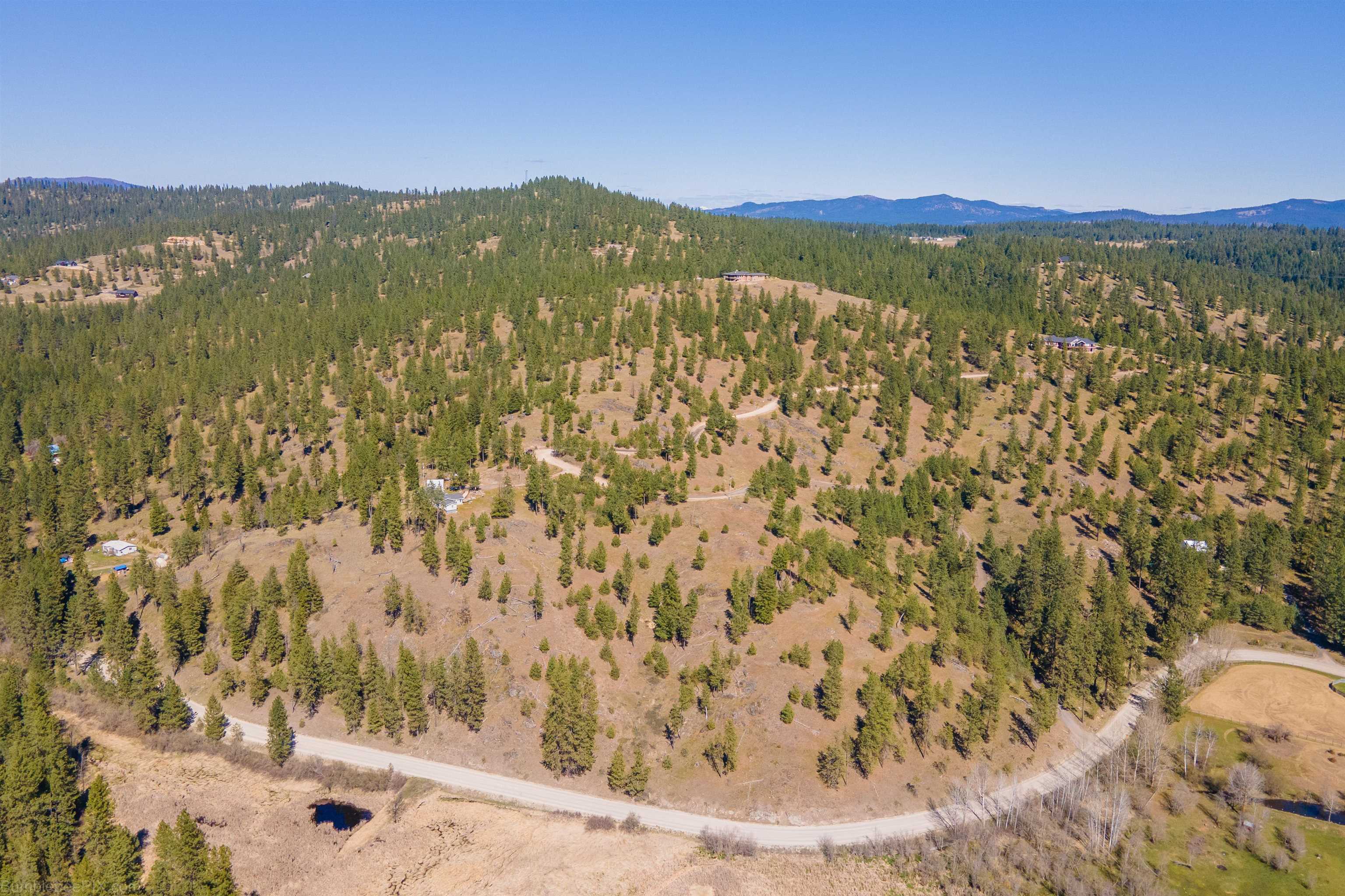 Lot 38 East Matthew Road Chattaroy, WA 99003 - Photo 5 of 5