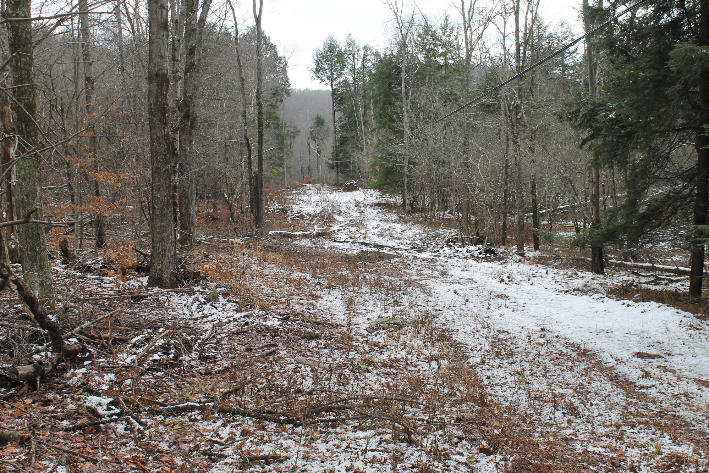 Rd Road East Branch, NY 13756 - Photo 6 of 9