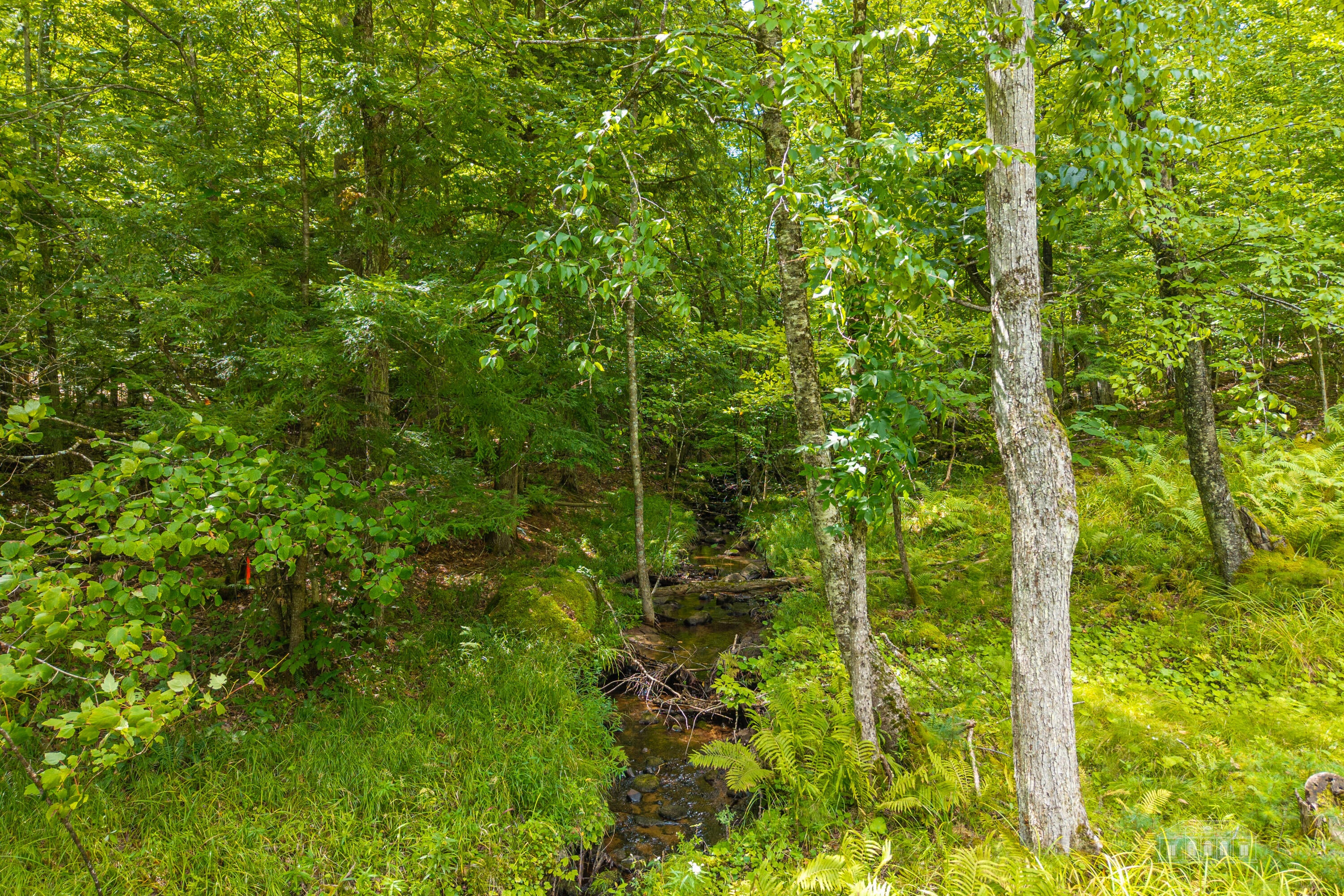 183 Ridge Top Road Jay, NY 12941 - Photo 40 of 42 Gallery Image 40