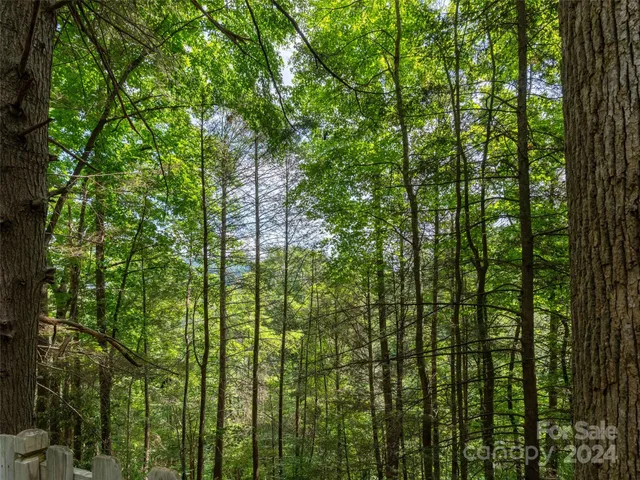 $315,000 | 1563 Green River Cove Road, Saluda, NC 28773