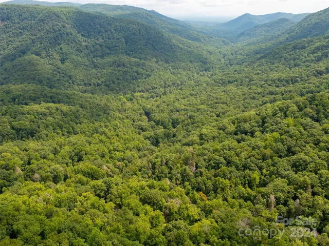 $315,000 | 1563 Green River Cove Road, Saluda, NC 28773