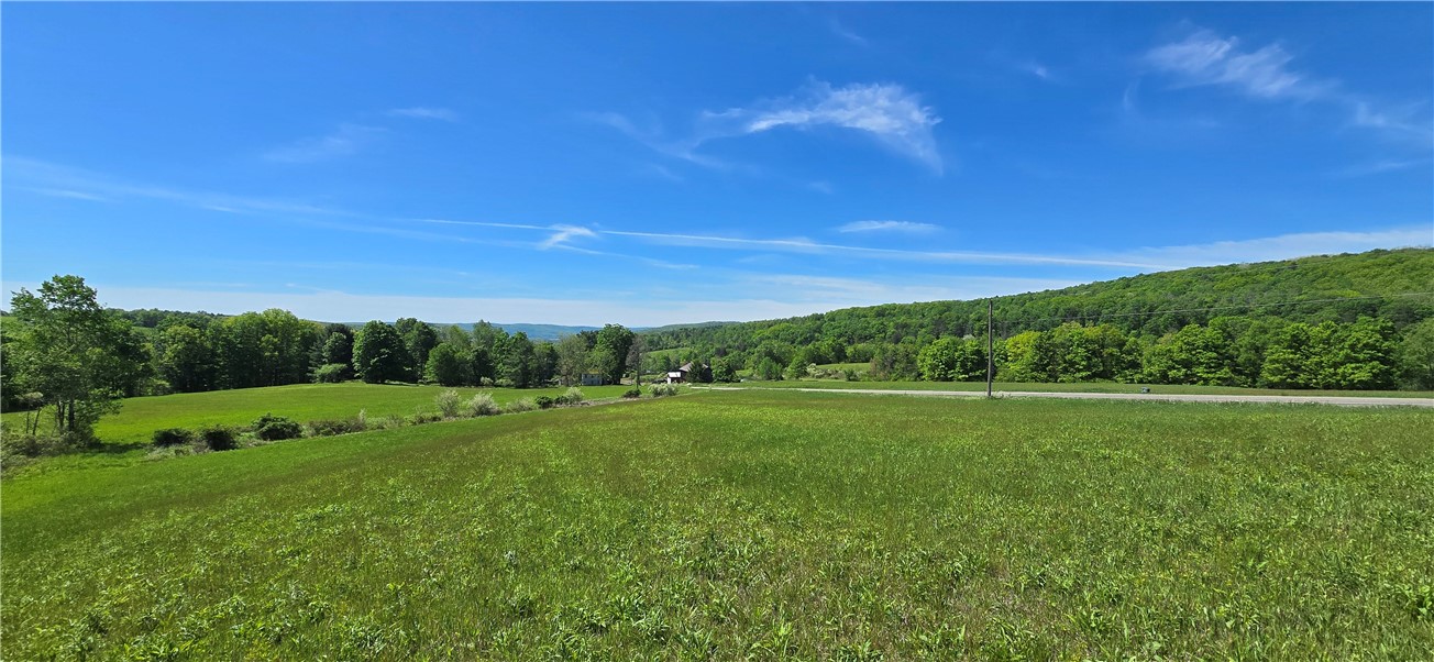 324 Murphy Hill Road Catlin, NY 14845 - Photo 16 of 47