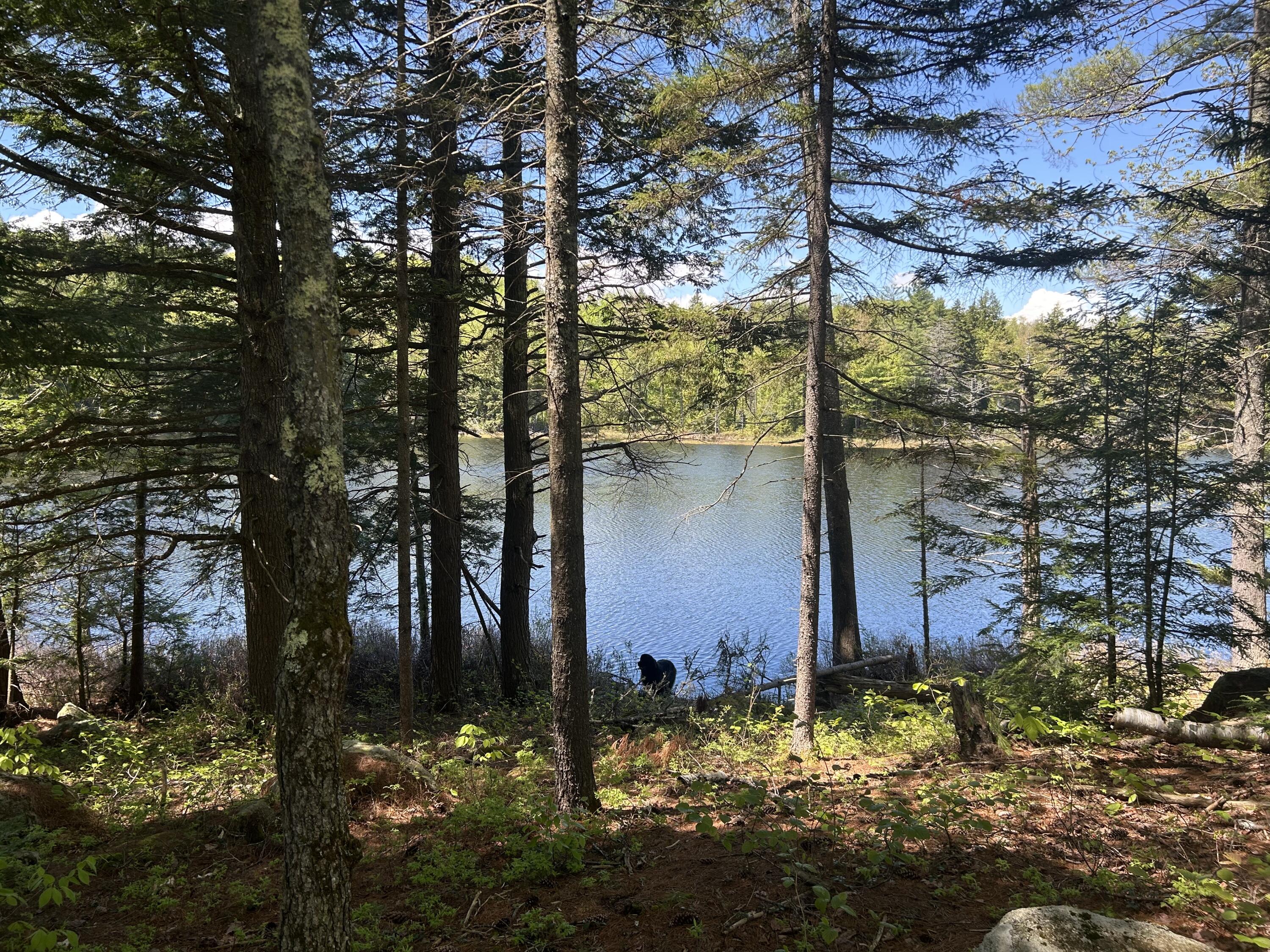 366 Ladd Road Mercer, ME 04957 - Photo 31 of 35 IMG_7660