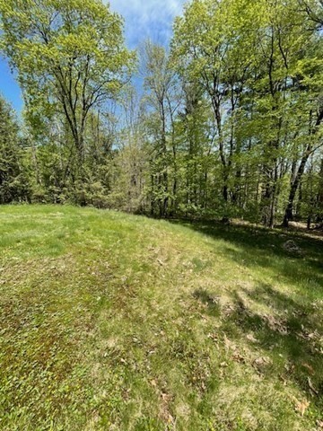 140 South Shaker Road Harvard, MA 01451 - Photo 32 of 38 a view of a yard with a trees