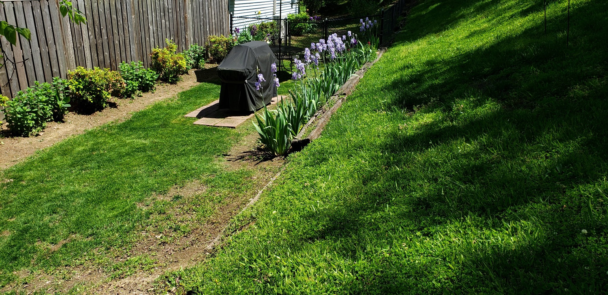 2437 Ravine Drive Nashville, TN 37217 - Photo 31 of 33 a view of a garden with plants