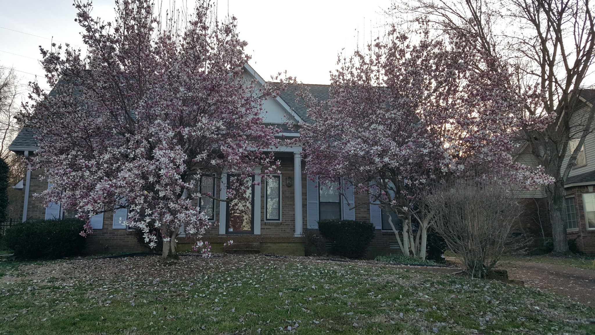2437 Ravine Drive Nashville, TN 37217 - Photo 33 of 33 a view of a house with a tree and a tree