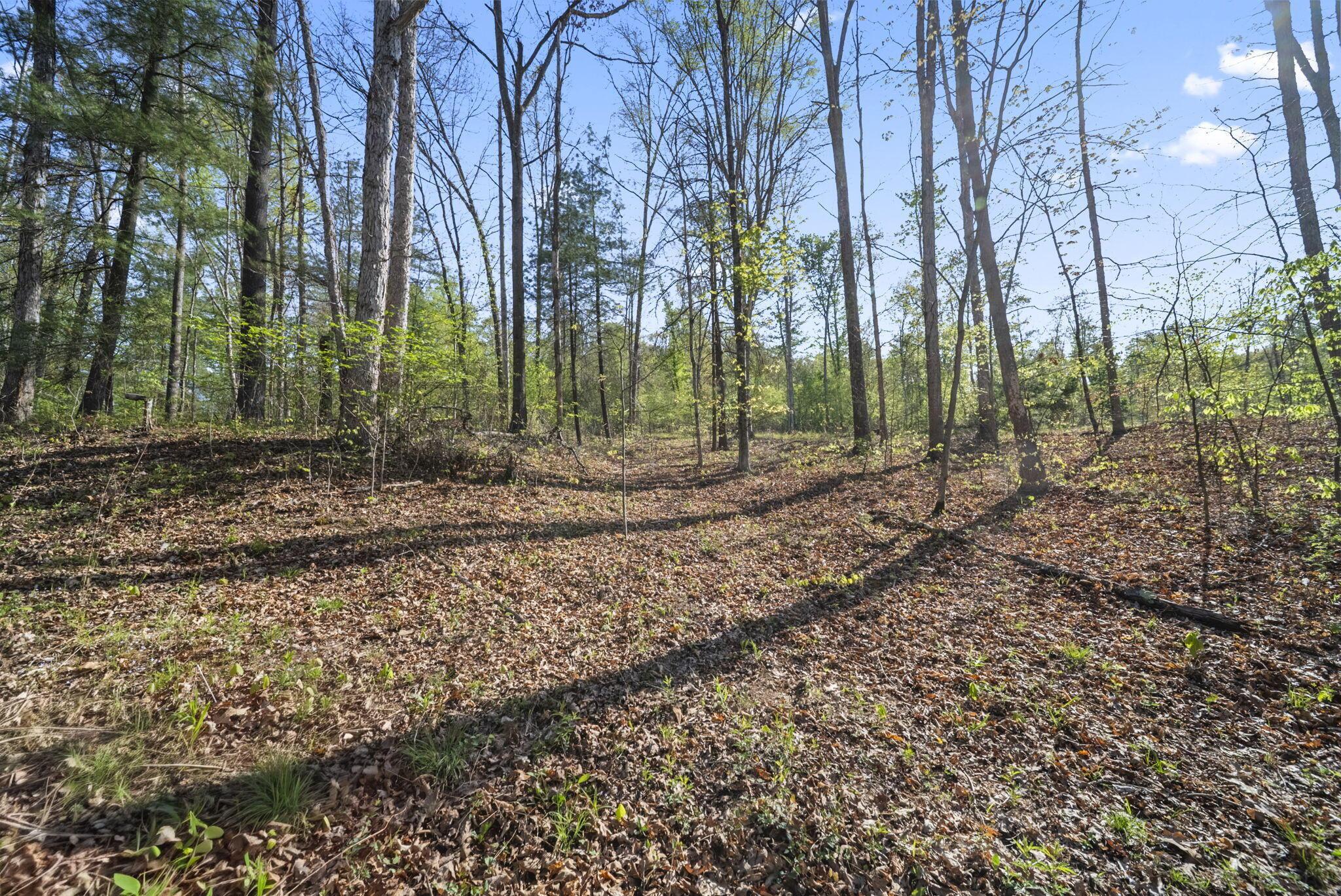 1588 Debord Road Chillicothe, OH 45601 - Photo 4 of 33 3-web-or-mls-DSC03943